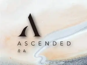 balenciagachanelpradaarmani