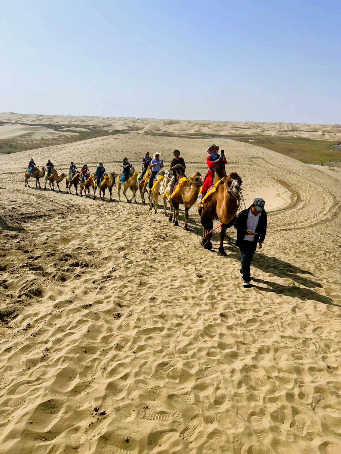 🐪 駝隊出發 · 大漠探索