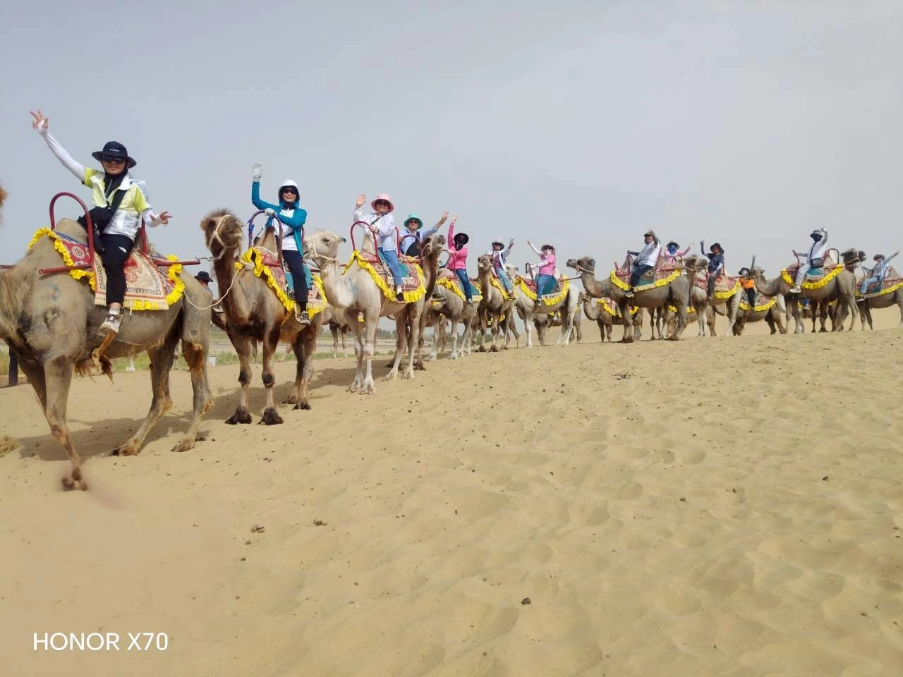 🐪 駱駝商旅 · 絲路風情