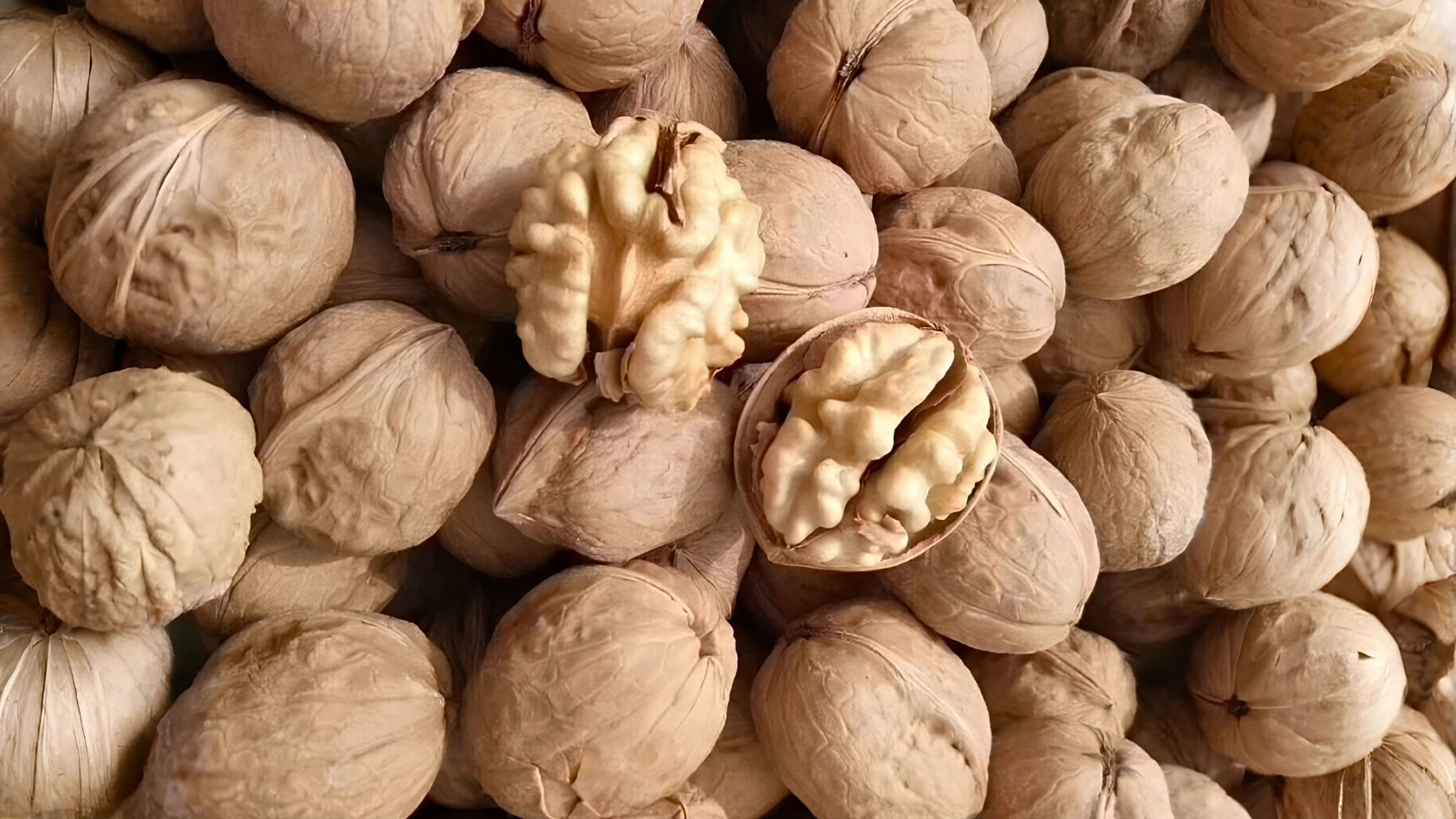 阿克蘇紙皮核桃